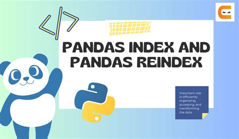 pandas reindex level